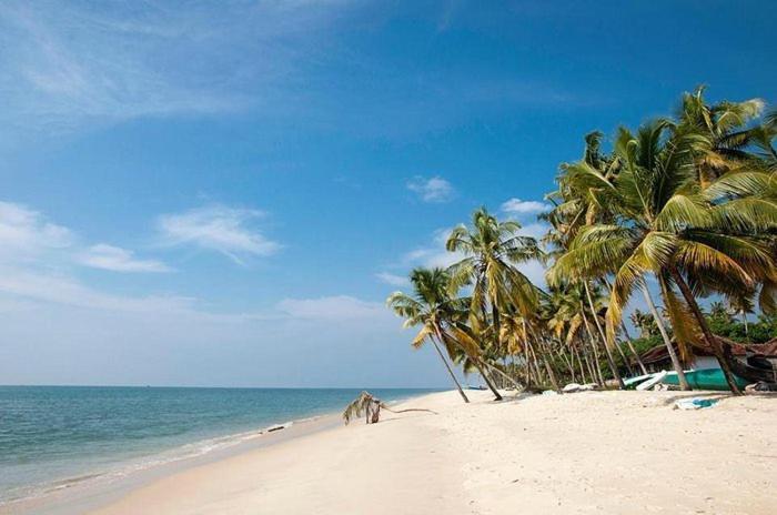 Marari Beach Clleetus Homestay Mararikulam Extérieur photo